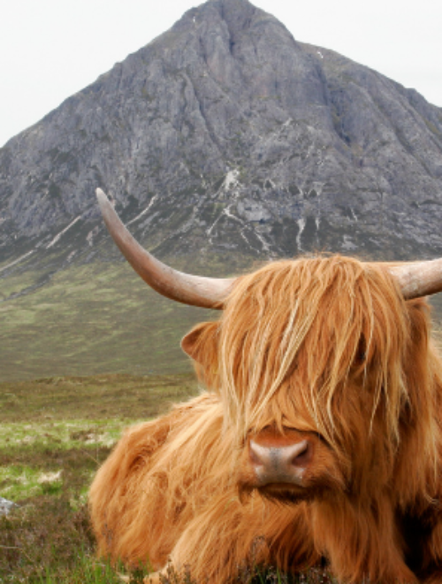 3 days Scotland Trip