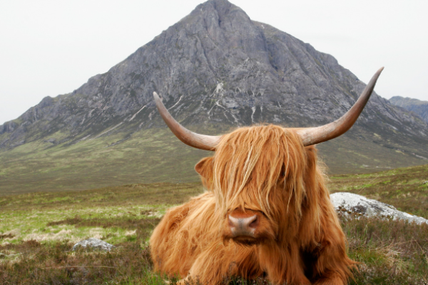 3 days Scotland Trip