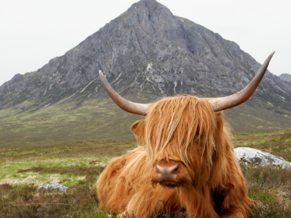 3 days Scotland Trip