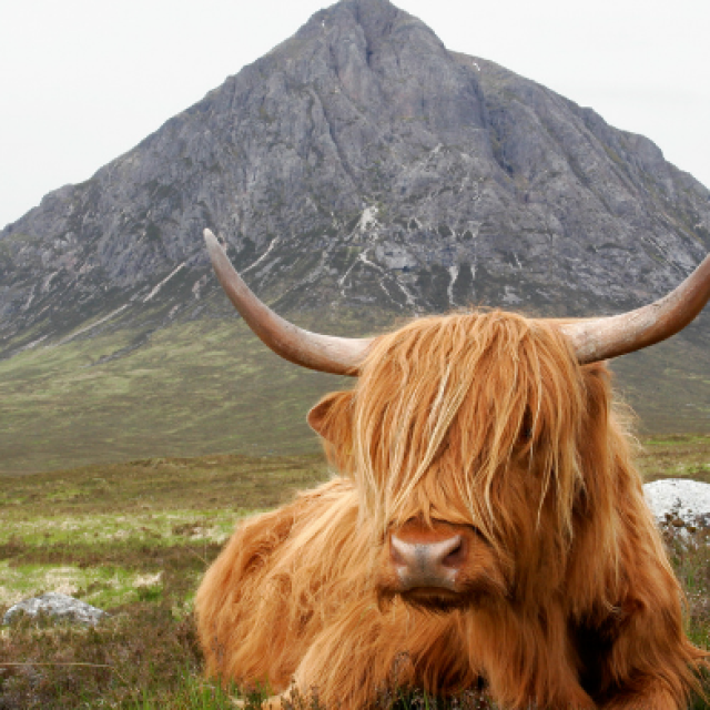 3 days Scotland Trip